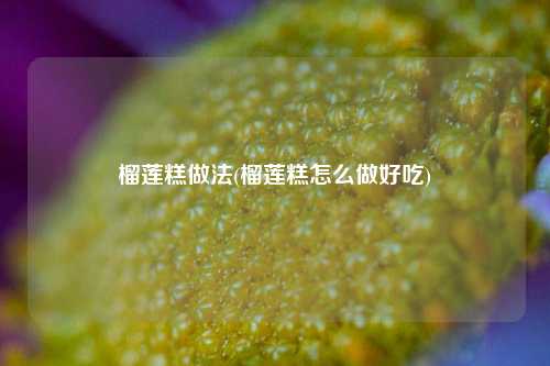 榴莲糕做法(榴莲糕怎么做好吃)
