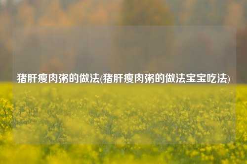 猪肝瘦肉粥的做法(猪肝瘦肉粥的做法宝宝吃法)