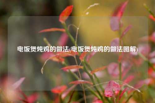 电饭煲炖鸡的做法(电饭煲炖鸡的做法图解)