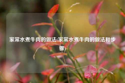 家常水煮牛肉的做法(家常水煮牛肉的做法和步骤)