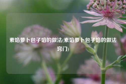 素馅萝卜包子馅的做法(素馅萝卜包子馅的做法窍门)