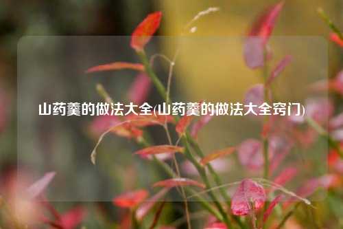 山药羹的做法大全(山药羹的做法大全窍门)