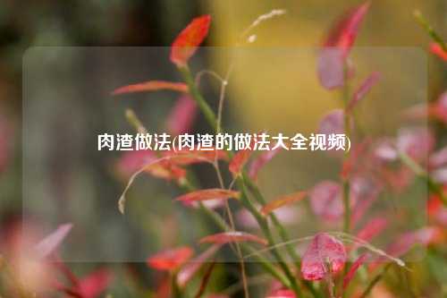 肉渣做法(肉渣的做法大全视频)