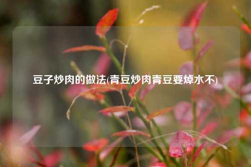 豆子炒肉的做法(青豆炒肉青豆要焯水不)
