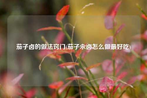 茄子卤的做法窍门(茄子汆卤怎么做最好吃)