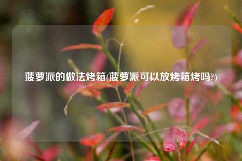 菠萝派的做法烤箱(菠萝派可以放烤箱烤吗?)