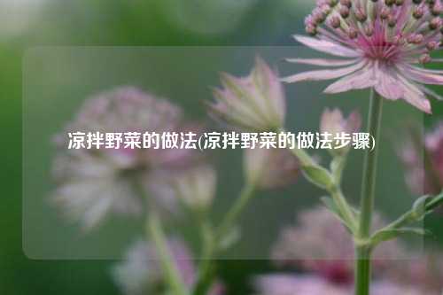 凉拌野菜的做法(凉拌野菜的做法步骤)