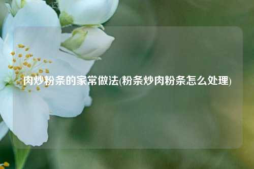 肉炒粉条的家常做法(粉条炒肉粉条怎么处理)