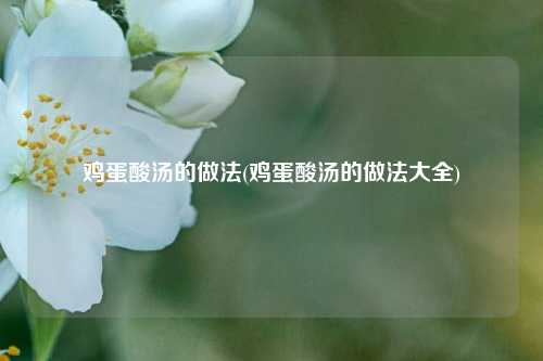 鸡蛋酸汤的做法(鸡蛋酸汤的做法大全)